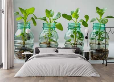 growing young, green seedlings in diy plastic pots made from cut plastic bottles. recycle and reusable green garden concept isolated on white background, png Wall mural