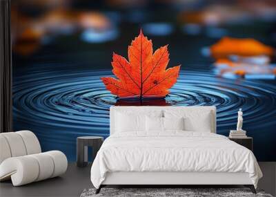 A red leaf floating on the water, with ripples spreading out from its center  Wall mural