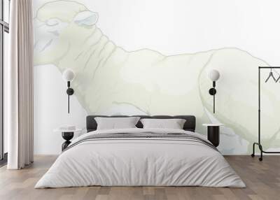 Vector illustration of a lamb Wall mural