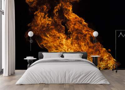 Fire flame on black background Wall mural