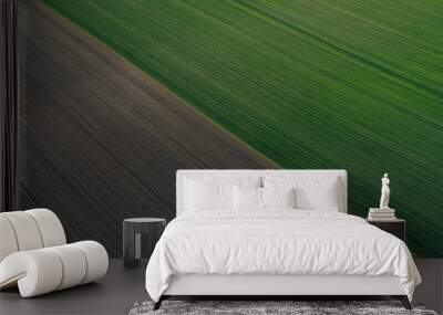 Plowed land and wheat or barley field abstract background and texture. Spring agricultural work before planting grain. Arable land in agriculture, tractor wheels on the ground. Wall mural