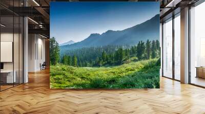 mountain range and evergreen trees, Khamar-Daban, Siberia, Russia, national park Wall mural