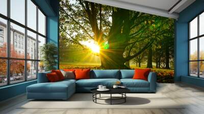 sunrise in a park Wall mural