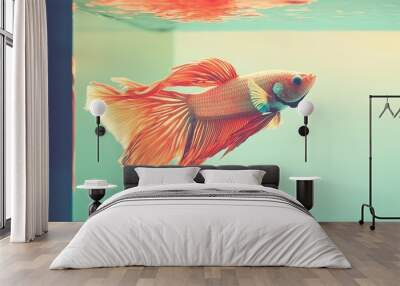 A vibrant goldfish gracefully swimming in a serene aquarium, showcasing its flowing fins and lively colors amidst clear water. Wall mural