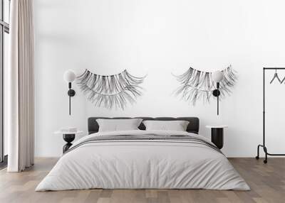 pair of black false eyelashes on white mirror background with reflection, visual content for brand and blog Wall mural