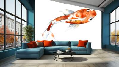 Watercolor orange koi, beautiful fish on an isolated white background, watercolor illustration, hand drawing Wall mural