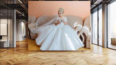 A bride is getting ready for her wedding and is looking at a dress in a mirror. The dress is white and has a lace design. The bride is wearing a white robe and a tiara Wall mural