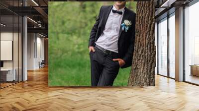 A man in a suit and tie stands next to a tree. He is wearing a blue and white boutonniere Wall mural