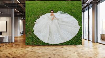 A woman in a white dress is sitting on the grass. The dress is long and has a lot of lace. The woman is smiling and looking at the camera. The scene is peaceful and serene Wall mural