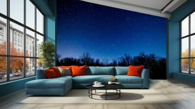 Starry sky over the forest. Wall mural