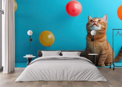 Curious ginger cat gazing at colorful balloons against vibrant blue backdrop Wall mural