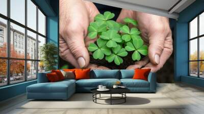 Hands holding soil with growing clover plants. Environmental care and luck symbolism concept Wall mural