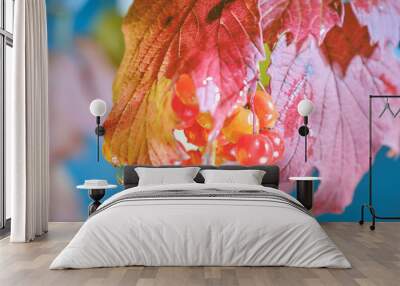 autumn leaves and water drops Wall mural