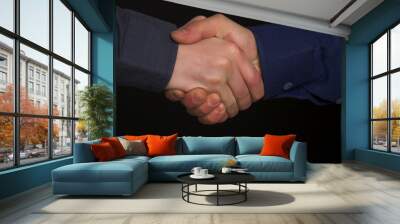 handshake Wall mural