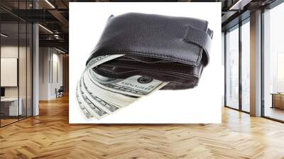 wallet with dollars Wall mural