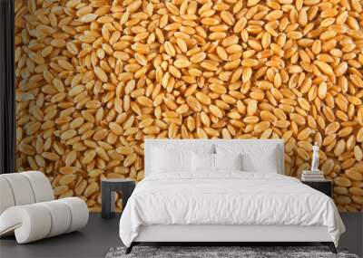 wheat seeds Wall mural