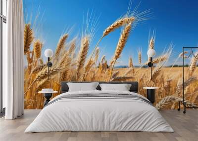 wheat field in golden sunlight, in the style of light orange and azure Wall mural