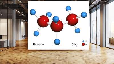 isolated 3d model of a molecule of propane Wall mural