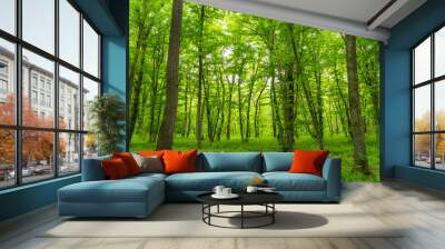 Bright green dense forest landscape Wall mural