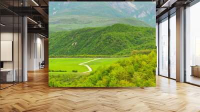 Green farm fields at the foot of mountains Wall mural