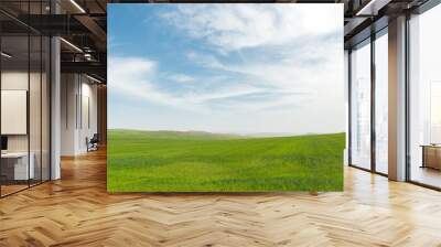 Landscape with green farm fields and cloudy sky Wall mural