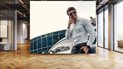 Handsome businessman near car Wall mural