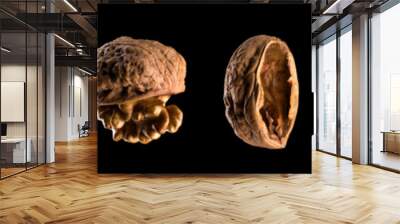 Macro photo of empty shell of walnut isolated on a black with clipping path Wall mural