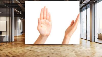 Set of woman hands showing different gestures, pointing and showing signs Wall mural