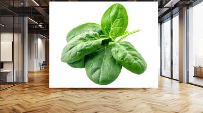 Vibrant baby spinach leaves isolated on a white background. Perfect for culinary uses Wall mural