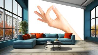 Woman hand showing mudra gesture or holding something. Wall mural