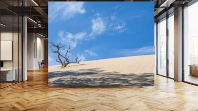 Sand dune, blue sky and dry tree brunch Wall mural