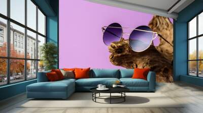 Fashionable sunglasses with purple lenses placed on timber. in purple background Wall mural