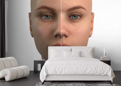 a women's before after face . dryness and old age symptoms . dry skin . isolated woman face . 3d illustration Wall mural