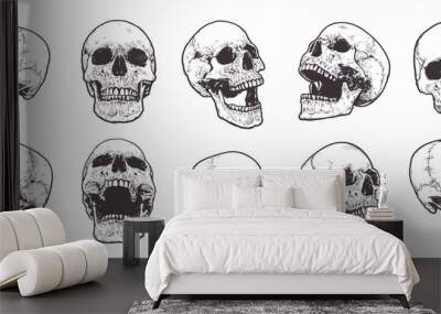 Anatomical Skulls Vector Set Wall mural