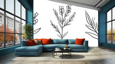 A collection of heather and lavender flower line art vector illustrations set isolated on a transparent background.  Modern minimalist design for logo, tattoo, wall art, and poster. Wall mural