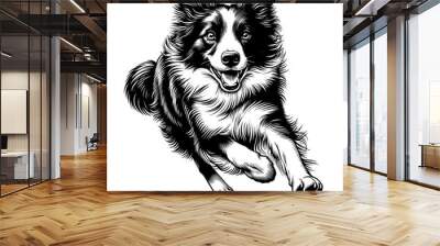 Hand drawn cute Border Collie, vector sketch isolated on white background. Wall mural