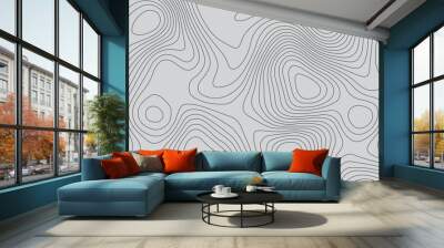 Abstract gray topography contour map background design .geometric black wave curve lines texture .abstract topographic map with  wave line pattern . Wall mural