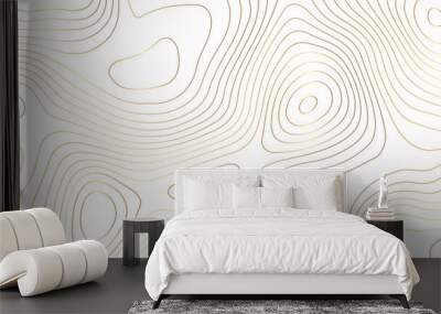 Topographic map background geographic line map pattern .panorama view golden color wave curve lines .geographic mountain relief abstract grid .the concept map of a conditional geography map . Wall mural