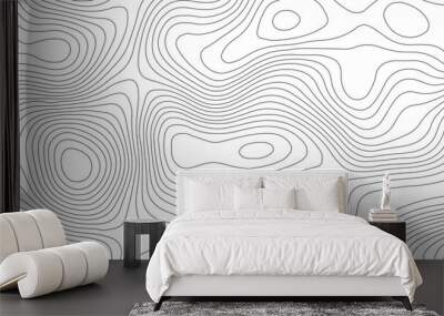 Topographic map curves geographic line map pattern .panorama view black color wave curve lines .geographic mountain relief abstract grid .the concept map of a conditional geography map background . Wall mural