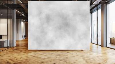 White and gray watercolor background texture design .abstract white and gray watercolor painting 
background .Abstract panorama banner watercolor paint creative concept . Wall mural