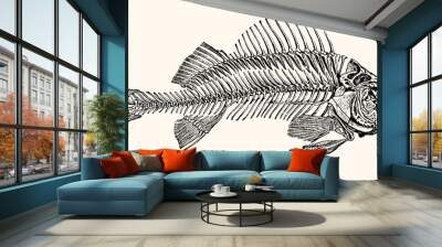 Skeleton of a Fish Artwork - Vintage Early 1800 Nautical Line Art Wall mural