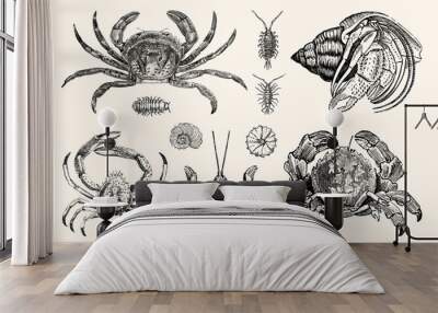 vintage crabs and nautical line art - handcrafted engravings Wall mural