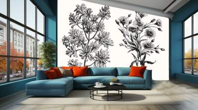 Vintage Floral Line Art - Early 1800s Botanical Illustrations Wall mural