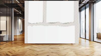 Set of vintage torn different white papers on transparent background. Wall mural