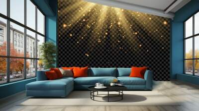 Light flare special effect with rays of light and magic sparkles. Glow transparent vector light effect set, explosion, glitter, spark, sun flash. Vector illustration. Wall mural