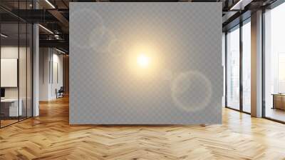 Vector transparent sunlight special lens flare light effect. PNG. Vector illustration Wall mural