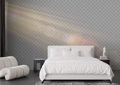 Vector transparent sunlight special lens flare light effect. PNG Wall mural