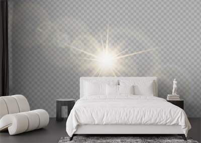 Vector transparent sunlight special lens flare light effect. Stock royalty free vector illustration. PNG	 Wall mural