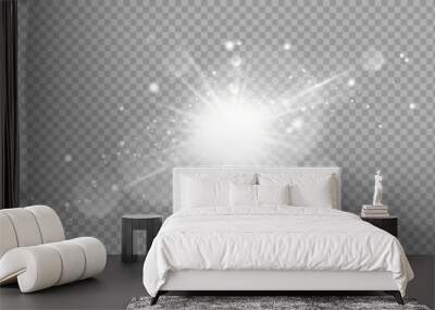 Vector transparent sunlight special lens flare light effect. Stock royalty free vector illustration. PNG	 Wall mural