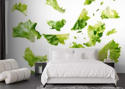 Falling fresh green lettuce salad leaves isolated on transparent white background, clipping path Wall mural